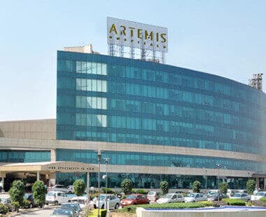 Artemis kasalxonasi